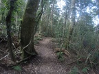 2014-06 O'reilly's Rainforest Retreat